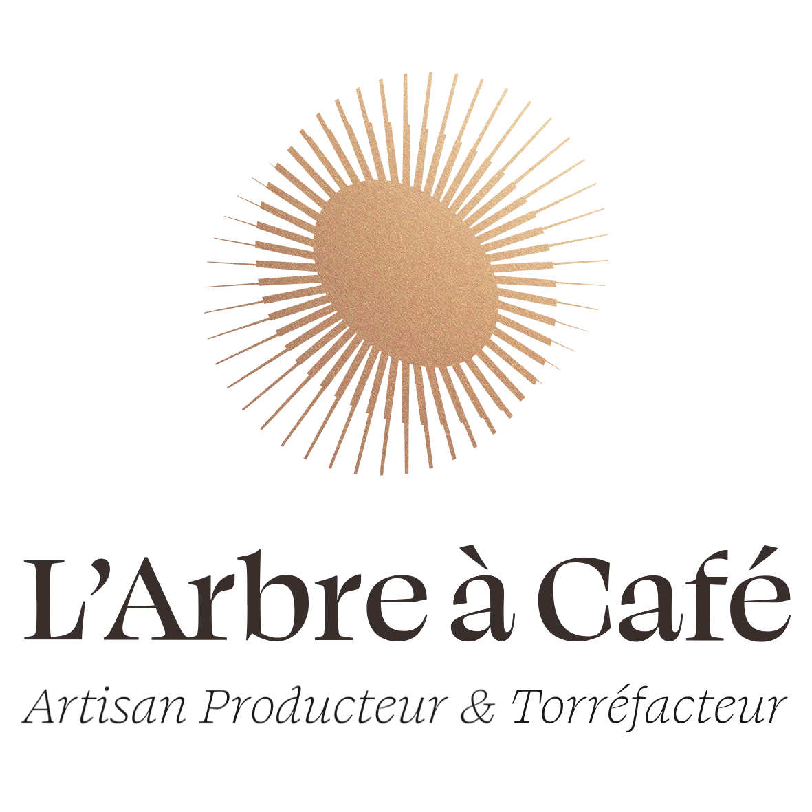 L'ARBRE À CAFÉ