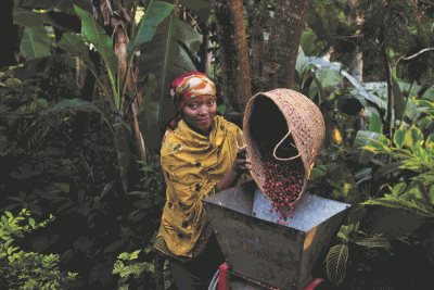 Lavazza & Coffee Defenders s'engagent pour le développement durable
